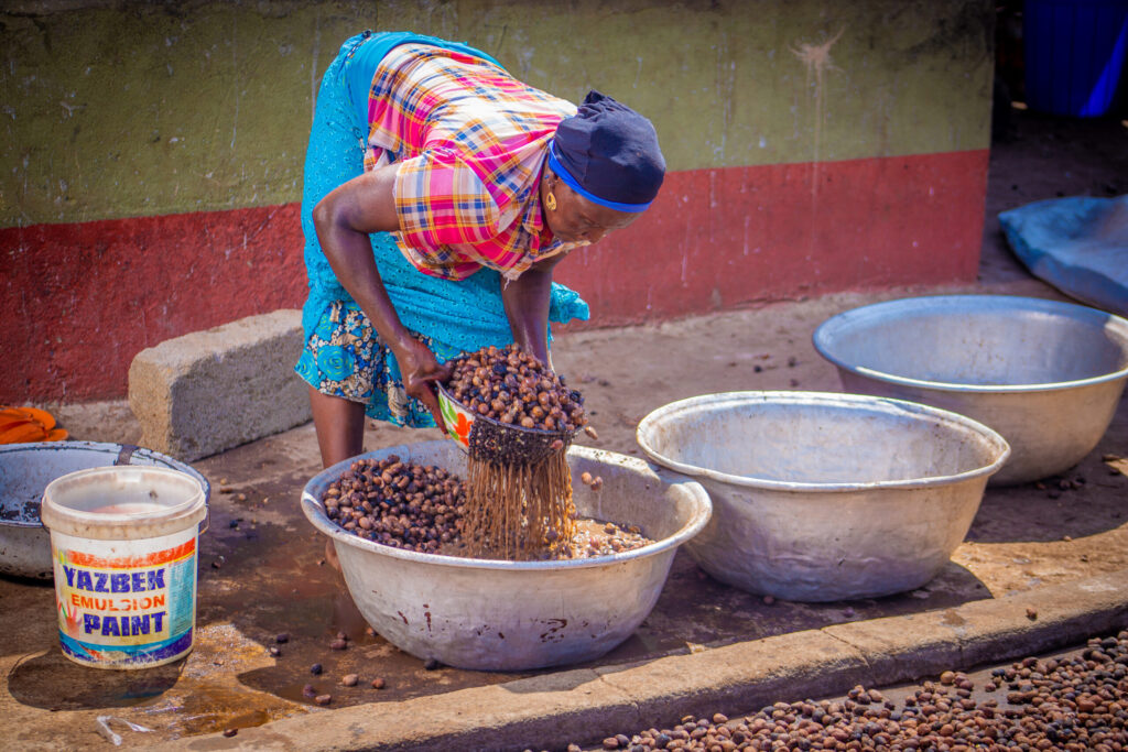 washing-of-shea-nut-efrighdotcom-scaled.jpg